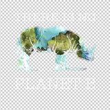 RHINO 5