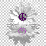 HIPPIE 235