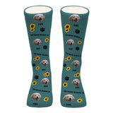 This Human Belongs To - Dog gift for cat lover - Personalized Socks