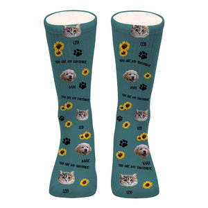 This Human Belongs To - Dog gift for cat lover - Personalized Socks