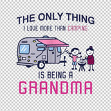 CAMPING 391