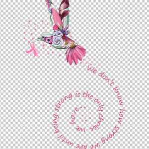 BREAST CANCER AWARENESS 288