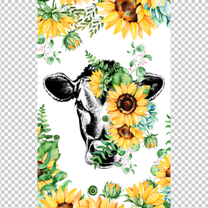 COW 136