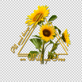 SUNFLOWER 11