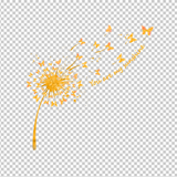 BUTTERFLY 33