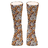Customizable Printed Face Socks - Personalized Dog Socks