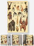 A Beautiful Selection - Canvas And Poster