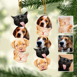 Merry Petmas - Personalized Dog Ornament