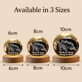 Thanks for Always Having Our Backs - Personalized Turtle Crystal Ball Night Light