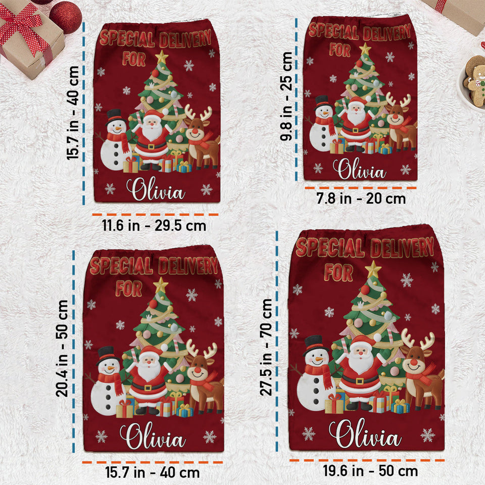 Special Delivery Christmas Eve Sack - Personalized Family Drawstring Tote Bag