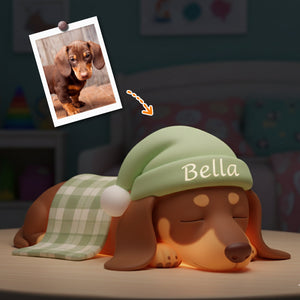 Custom From Any Photos - Personalized Dog Acrylic LED Night Light