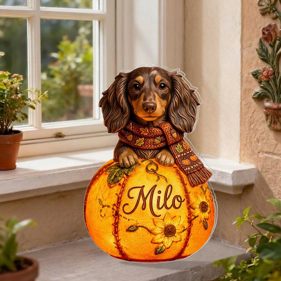 Fall Season Cute Pets - Personalized Dog Solar Acrylic Light