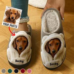 Dog In Winter Hoodie - Personalized Dog Slippers