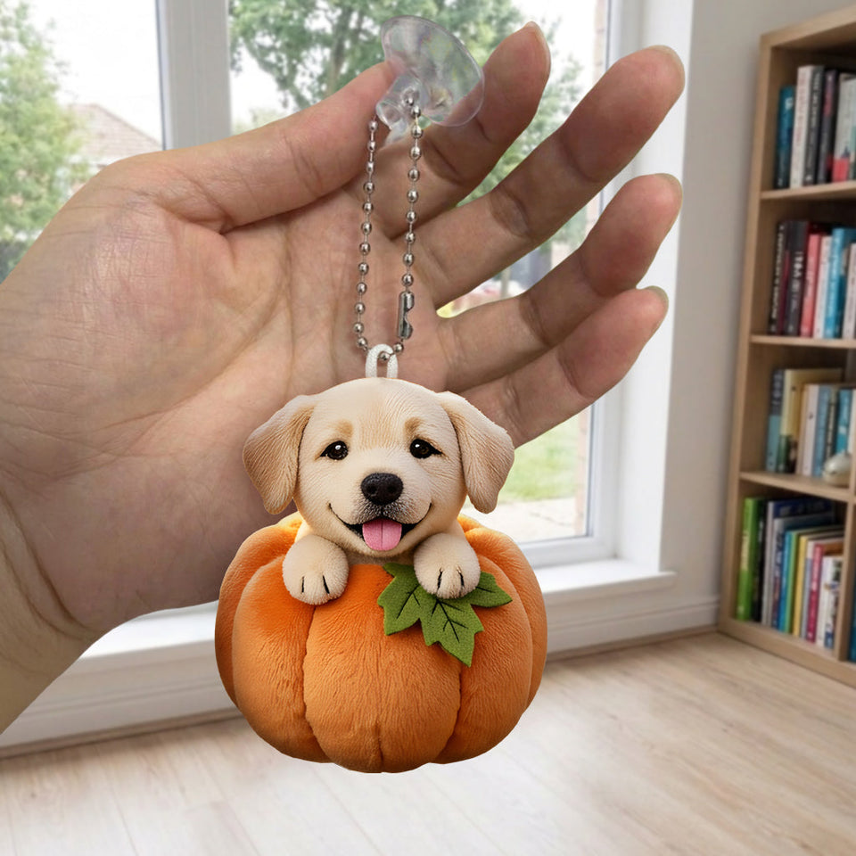 Autumn Snuggles Pumpkin Paws - Personalized Dog Tumbler With Plush Charm