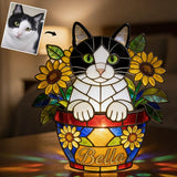 Cute Pets And Flowers - Personalized Cat Acrylic LED Night Light
