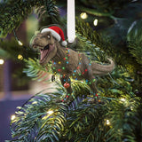 Dinosaur 2025 Advent Calendar - Personalized Dinosaur Folded Advent Calendar With Ornaments