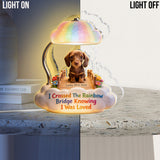 I Crossed The Rainbow Bridge - Personalized Dog Acrylic LED Night Light