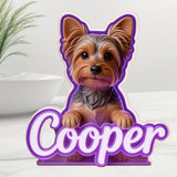 Custom Any Photo - Personalized Dog Acrylic LED Night Light