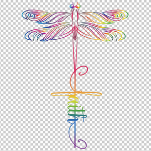 DRAGONFLY 11