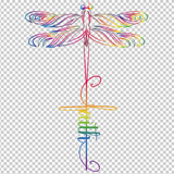 DRAGONFLY 11