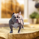 Any Photo - Personalized Dog Custom Shaped Acrylic Plaque