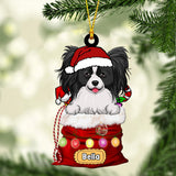 Dear Santa, Define Naughty - Personalized Dog Ornament
