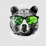 WEED 11