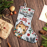 Special Delivery - Personalized Cat Christmas Stockings