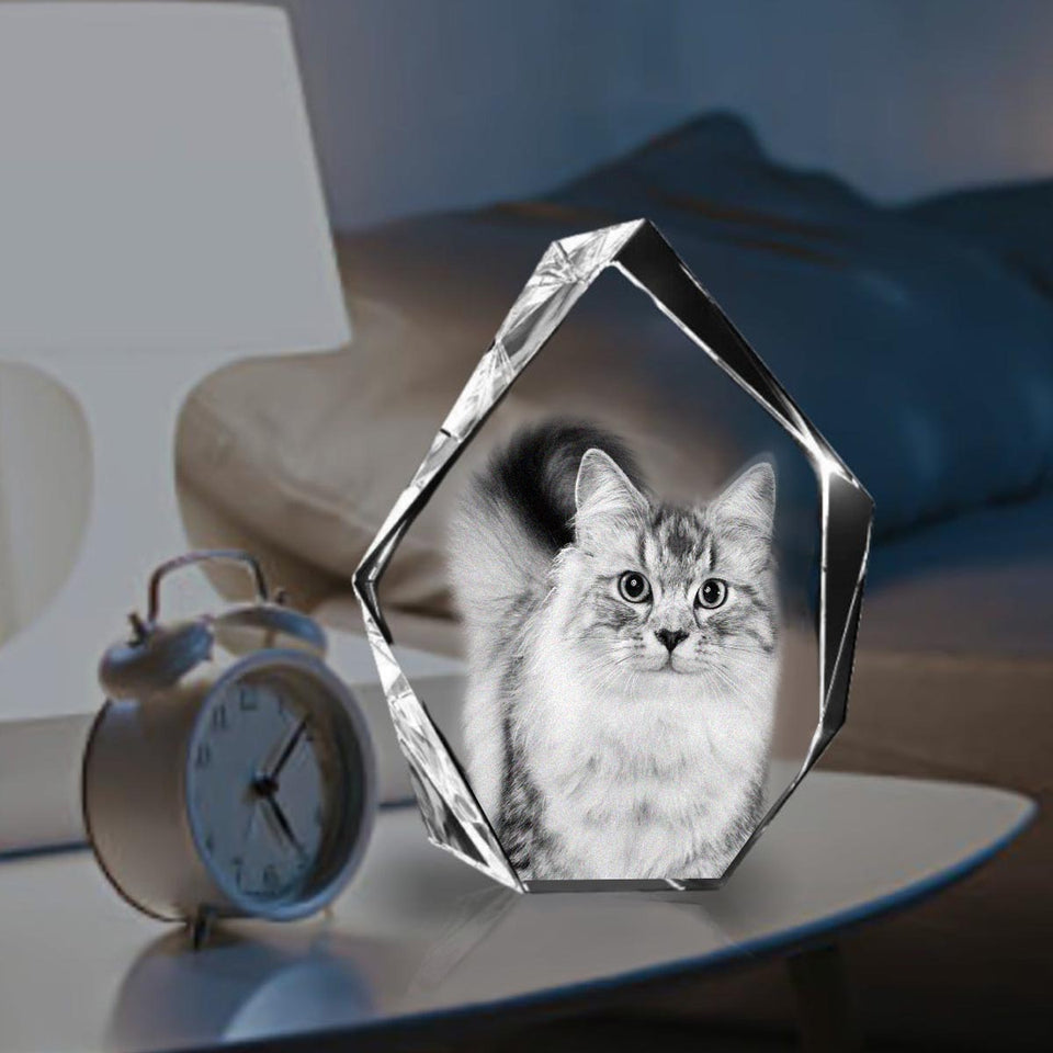 Custom Photo - Personalized Cat Laser Engraving 3D Iceberg Shaped Crystal Lamp