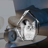 Custom Photo - Personalized Cat Laser Engraving 3D Iceberg Shaped Crystal Lamp