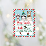 I've Been Good Cats This Year - Personalized Cat Ornament