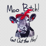 COW 24