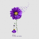 LUPUS AWARENESS 17