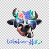 COW 2