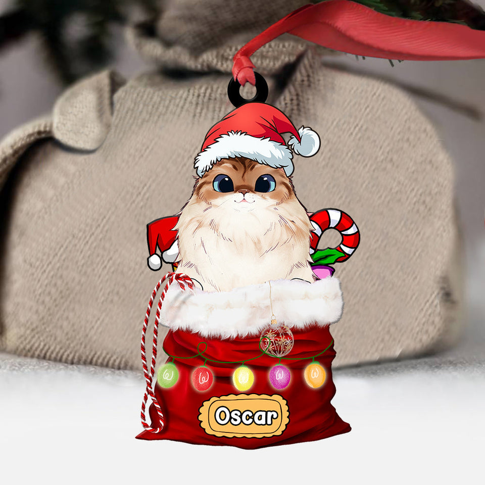 Dear Santa, Define Naughty - Personalized Dog Ornament