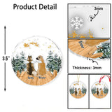 In Loving Memory - Gift for dog lovers, who lost dog, who lost cat - Personalized Transparent Ornament