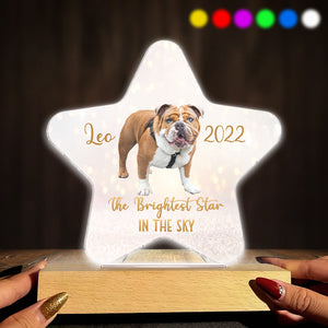 The Brightest Star In The Sky - Cat gift for who lose cat - Personalized Shaped Plaque Light Base