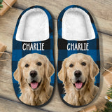Fur Baby - Personalized Dog Slippers