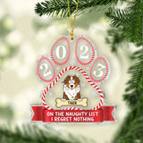 On The Naughty List - Gift for dog lovers - Personalized Transparent Ornament