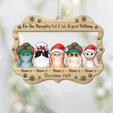 Lovely Cat Paws - Personalized Christmas Cat Ornament (Printed On Both Sides)