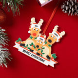 Any Family Name - Personalized Family Gift Ornament