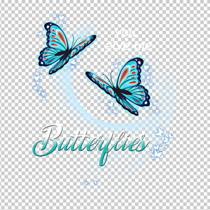 BUTTERFLY 19