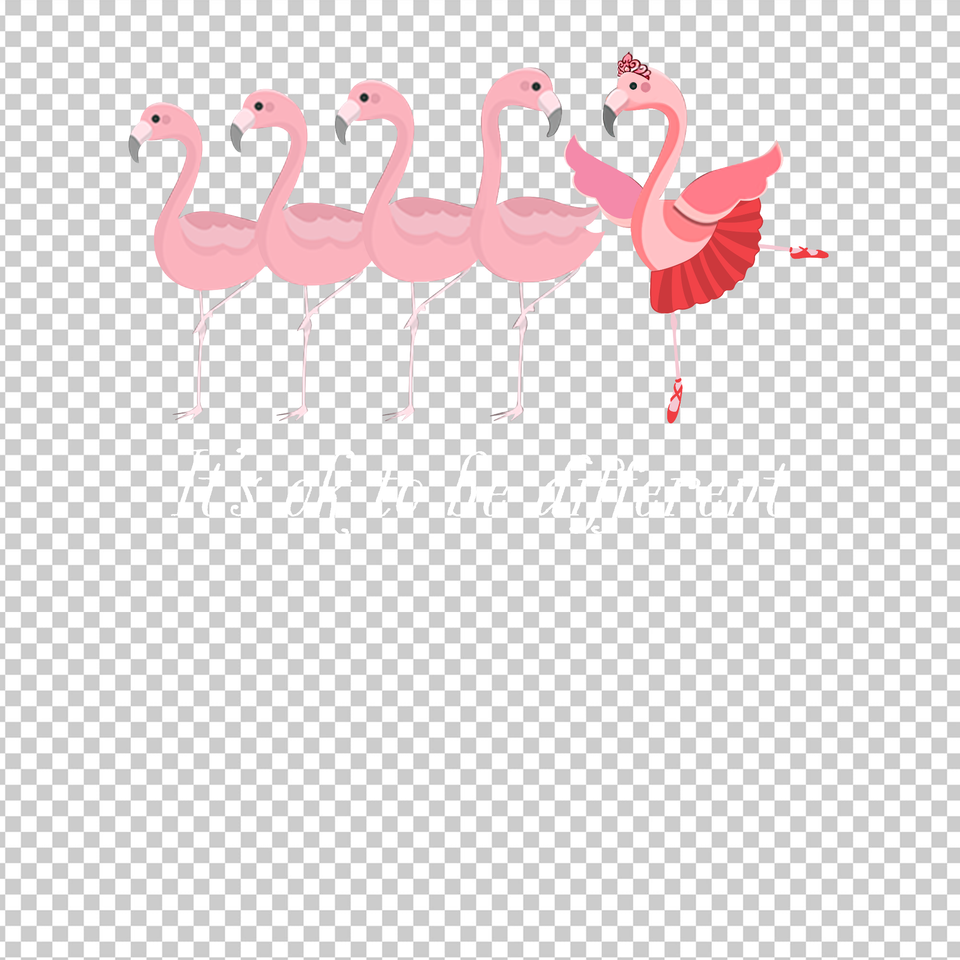 BALLET 17