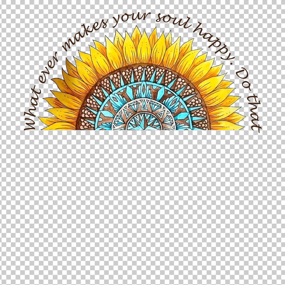 HIPPIE 479