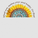 HIPPIE 479