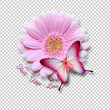 BREAST CANCER AWARENESS 345