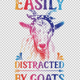 GOAT 24