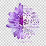 FIBROMYALGIA AWARENESS 175