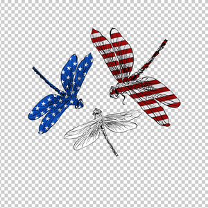 DRAGONFLY 3