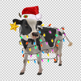 COW 104